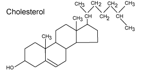 Cholesterol-Molecule