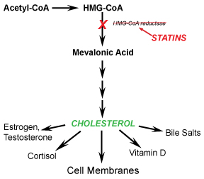 Cholesterol-Pathway-Diagram